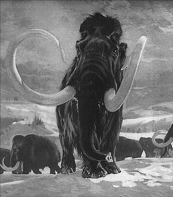 Иллюстрация к книге — 100 великих тайн доисторического мира [i_035.jpg]