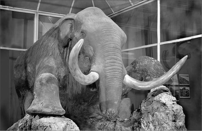 Иллюстрация к книге — 100 великих тайн доисторического мира [i_044.jpg]