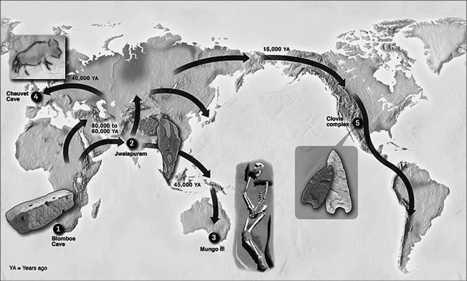 Иллюстрация к книге — 100 великих тайн доисторического мира [i_048.jpg]