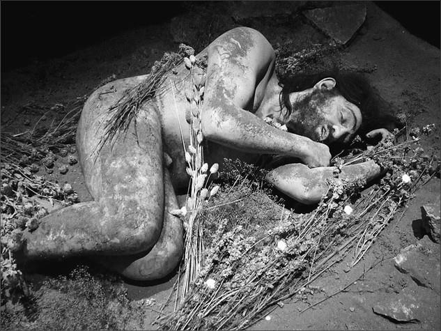 Иллюстрация к книге — 100 великих тайн доисторического мира [i_052.jpg]