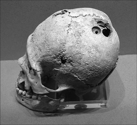 Иллюстрация к книге — 100 великих тайн доисторического мира [i_064.jpg]