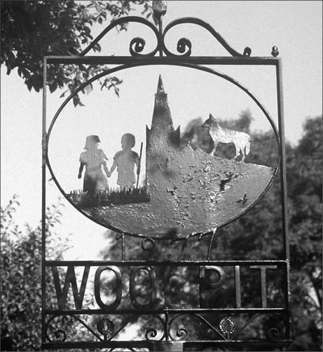 Иллюстрация к книге — 100 великих тайн доисторического мира [i_086.jpg]