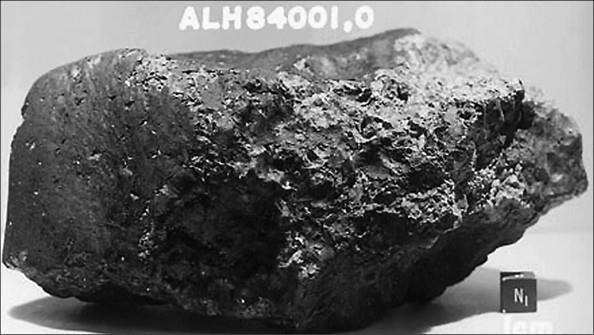 Иллюстрация к книге — 100 великих тайн доисторического мира [i_099.jpg]