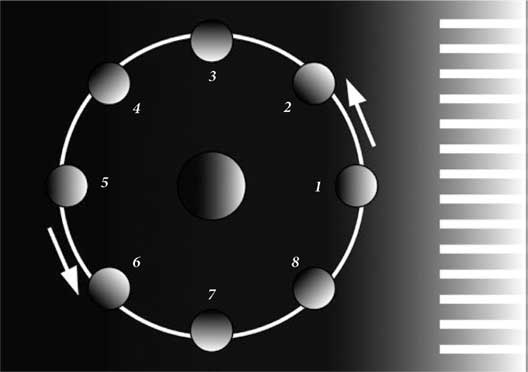 Иллюстрация к книге — Золотые советы хозяюшки [i_037.jpg]
