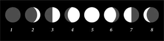 Иллюстрация к книге — Золотые советы хозяюшки [i_038.jpg]