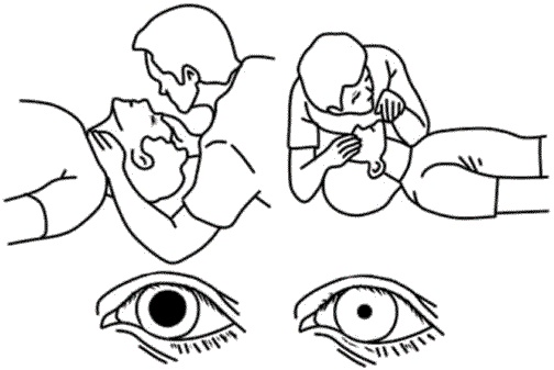 Иллюстрация к книге — Золотые советы хозяюшки [i_042.jpg]