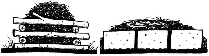 Иллюстрация к книге — Секреты доброй почвы для чудо-урожая [i_002.jpg]