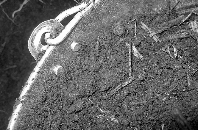 Иллюстрация к книге — Секреты доброй почвы для чудо-урожая [i_003.jpg]