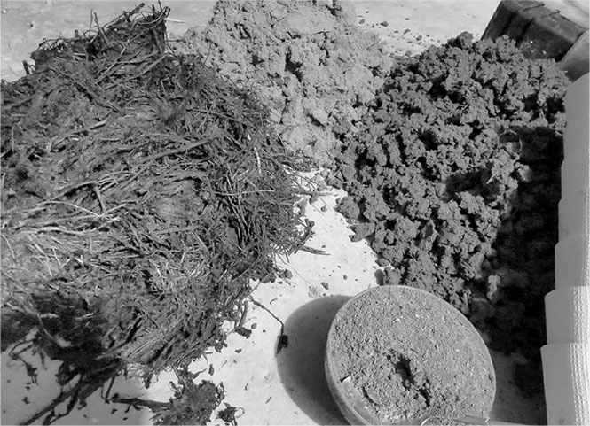 Иллюстрация к книге — Секреты доброй почвы для чудо-урожая [i_004.jpg]