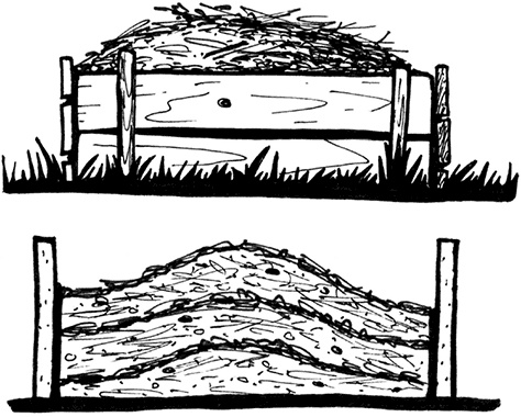 Иллюстрация к книге — Секреты доброй почвы для чудо-урожая [i_005.jpg]