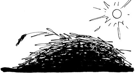 Иллюстрация к книге — Секреты доброй почвы для чудо-урожая [i_007.jpg]