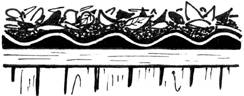 Иллюстрация к книге — Секреты доброй почвы для чудо-урожая [i_018.jpg]