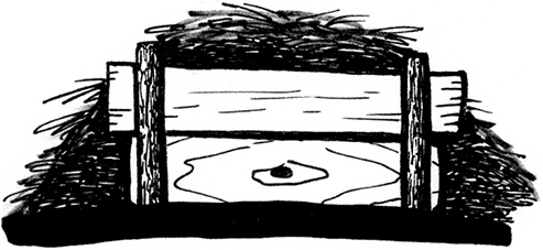 Иллюстрация к книге — Секреты доброй почвы для чудо-урожая [i_030.jpg]