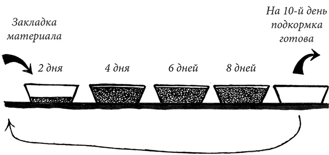 Иллюстрация к книге — Секреты доброй почвы для чудо-урожая [i_049.jpg]