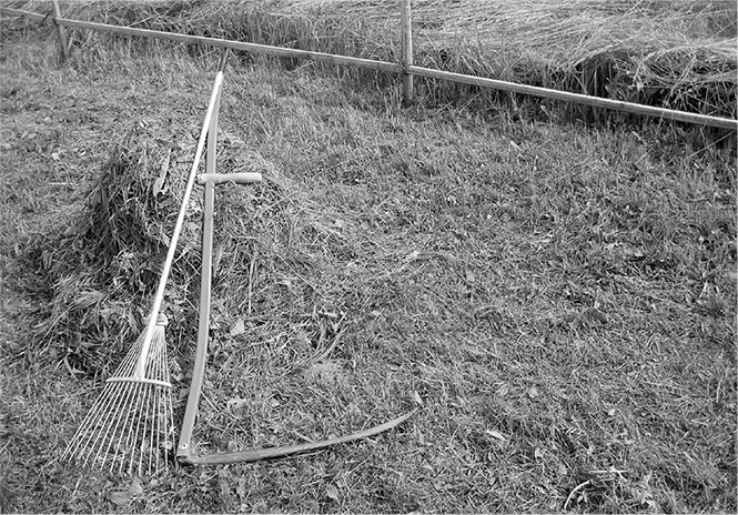 Иллюстрация к книге — Секреты доброй почвы для чудо-урожая [i_053.jpg]