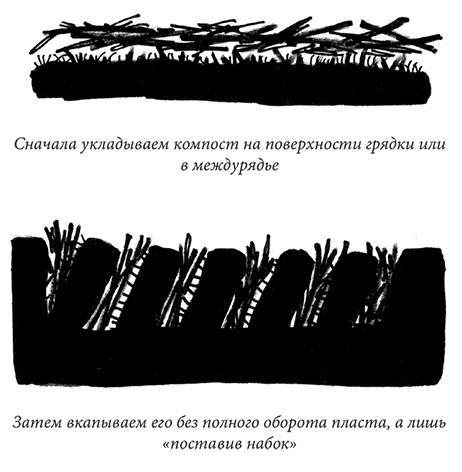 Иллюстрация к книге — Секреты доброй почвы для чудо-урожая [i_059.jpg]