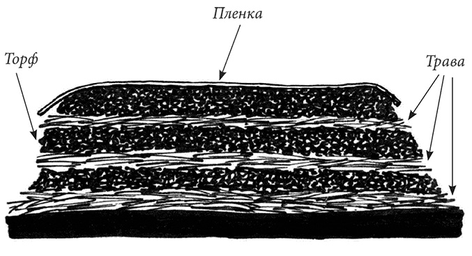 Иллюстрация к книге — Секреты доброй почвы для чудо-урожая [i_071.jpg]