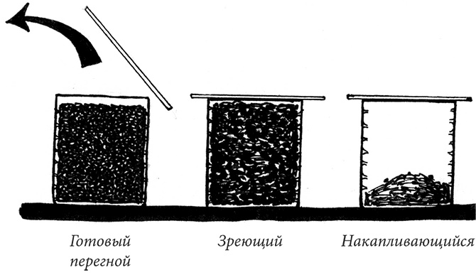 Иллюстрация к книге — Секреты доброй почвы для чудо-урожая [i_077.jpg]
