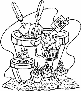 Иллюстрация к книге — Как создать экосад и сохранить здоровье. Советы врача и садовода с 40-летним стажем! [i_001.jpg]