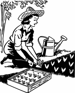 Иллюстрация к книге — Как создать экосад и сохранить здоровье. Советы врача и садовода с 40-летним стажем! [i_007.jpg]