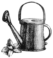 Иллюстрация к книге — Как создать экосад и сохранить здоровье. Советы врача и садовода с 40-летним стажем! [i_010.jpg]