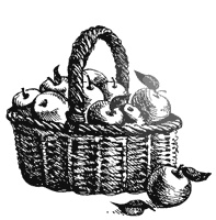 Иллюстрация к книге — Как создать экосад и сохранить здоровье. Советы врача и садовода с 40-летним стажем! [i_014.jpg]