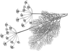 Иллюстрация к книге — Лунный посевной календарь с кулинарными рецептами 2017 [_10.jpg]