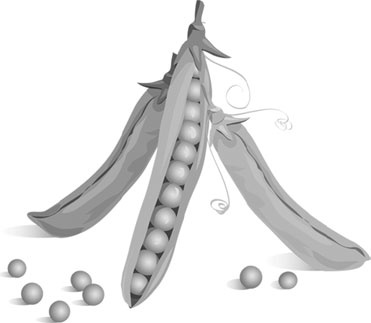 Иллюстрация к книге — Лунный посевной календарь с кулинарными рецептами 2017 [_15.jpg]