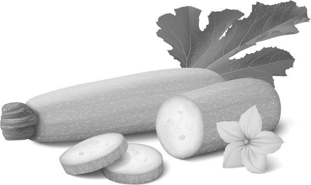 Иллюстрация к книге — Лунный посевной календарь с кулинарными рецептами 2017 [_21.jpg]