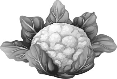 Иллюстрация к книге — Лунный посевной календарь с кулинарными рецептами 2017 [_28.jpg]