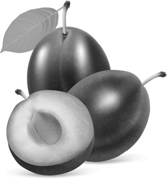 Иллюстрация к книге — Лунный посевной календарь с кулинарными рецептами 2017 [_31.jpg]