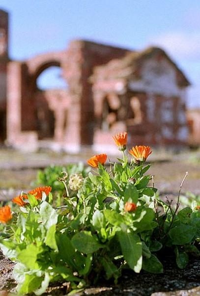 Иллюстрация к книге — Тайны петербургских крепостей. Шлиссельбургская пентаграмма [i_018.jpg]