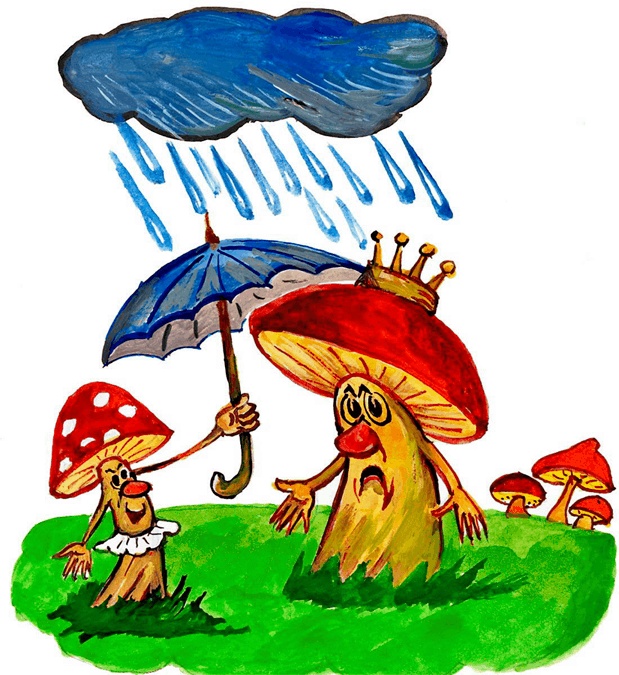 Иллюстрация к книге — Страна грибов [i_001.jpg]