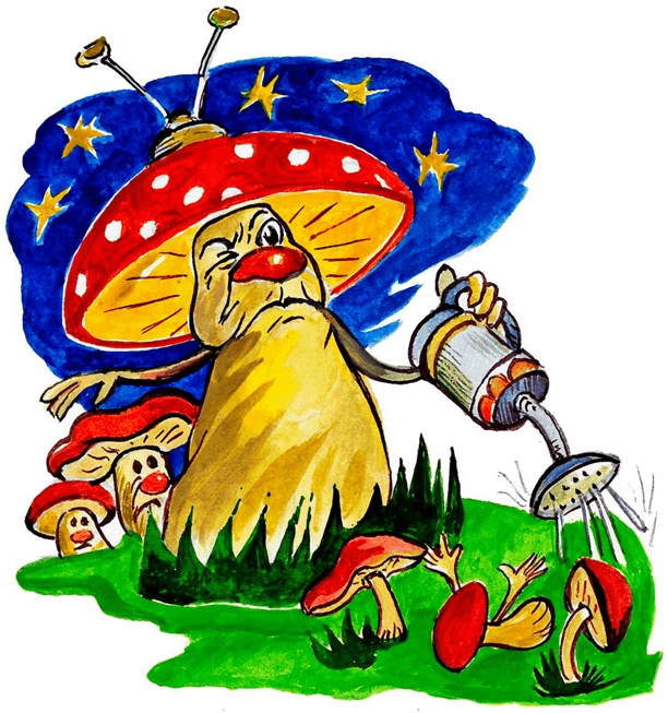 Иллюстрация к книге — Страна грибов [i_004.jpg]