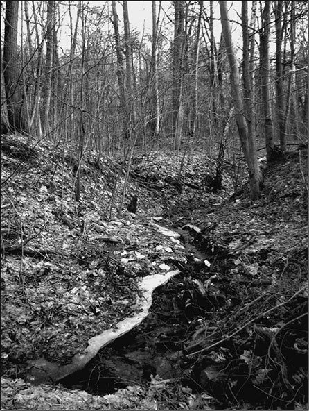 Иллюстрация к книге — Предания Синих камней [i_016.jpg]