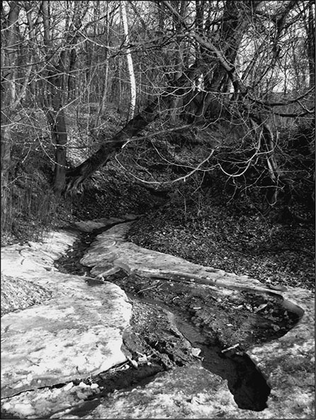 Иллюстрация к книге — Предания Синих камней [i_017.jpg]