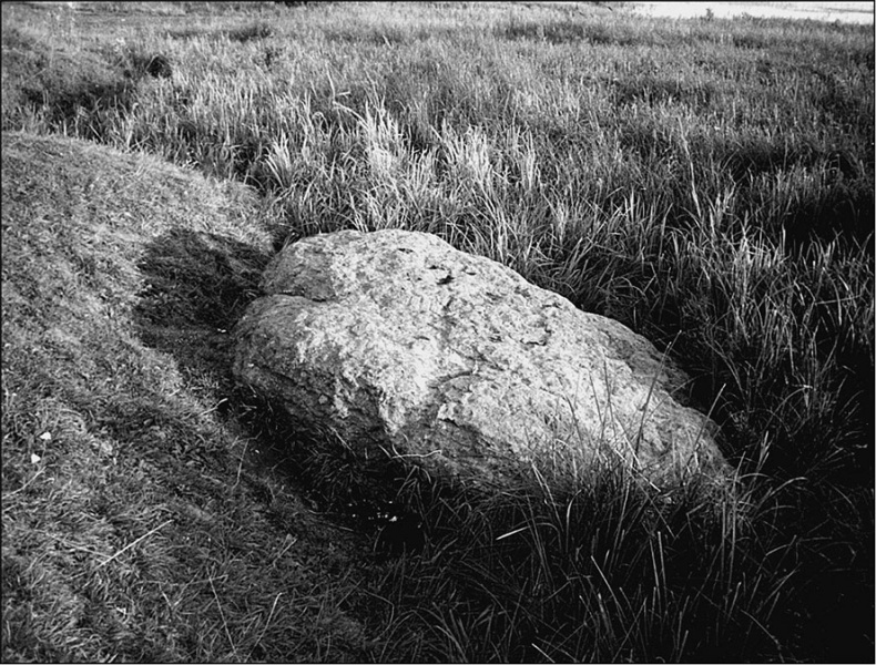 Иллюстрация к книге — Предания Синих камней [i_044.jpg]