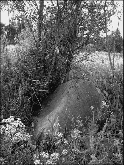 Иллюстрация к книге — Предания Синих камней [i_059.jpg]