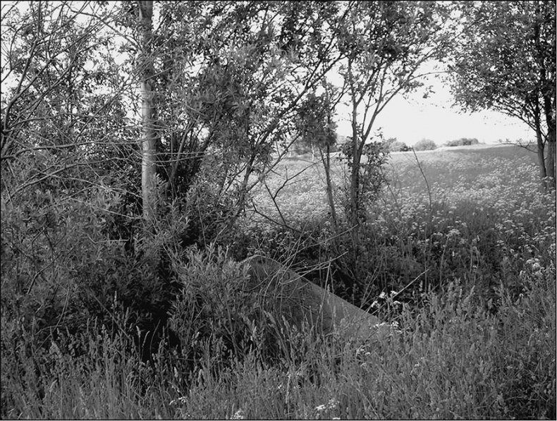 Иллюстрация к книге — Предания Синих камней [i_061.jpg]