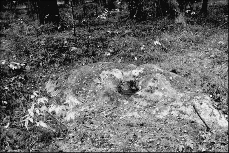 Иллюстрация к книге — Предания Синих камней [i_062.jpg]