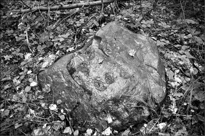 Иллюстрация к книге — Предания Синих камней [i_069.jpg]