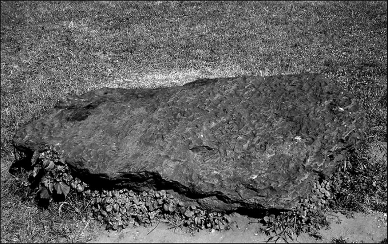 Иллюстрация к книге — Предания Синих камней [i_081.jpg]