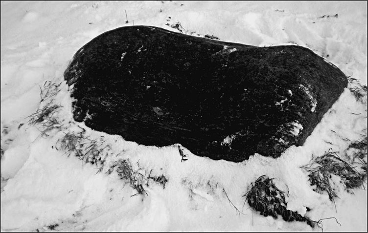 Иллюстрация к книге — Предания Синих камней [i_090.jpg]