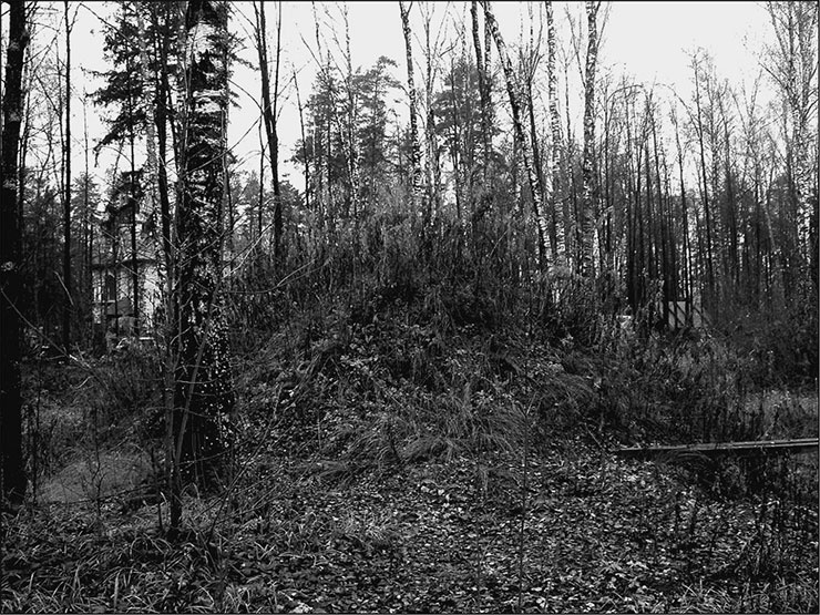 Иллюстрация к книге — Предания Синих камней [i_091.jpg]