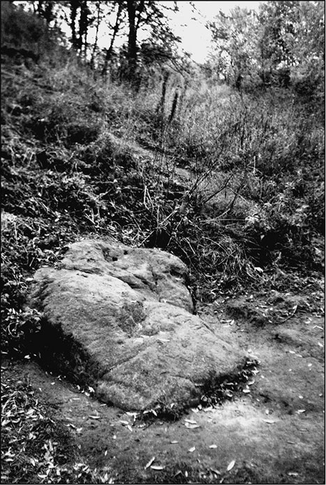 Иллюстрация к книге — Предания Синих камней [i_121.jpg]