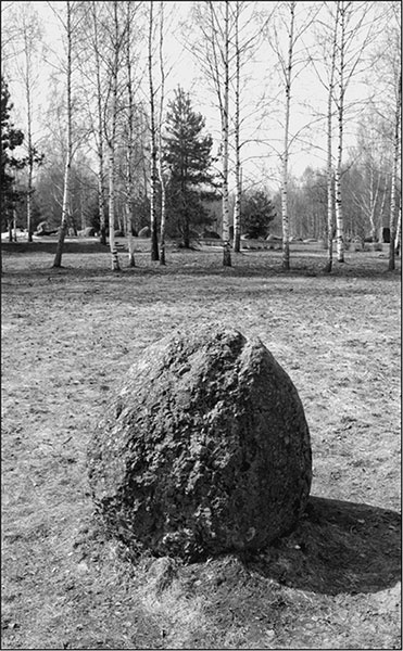 Иллюстрация к книге — Предания Синих камней [i_125.jpg]