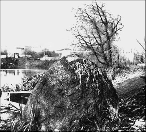 Иллюстрация к книге — Предания Синих камней [i_126.jpg]