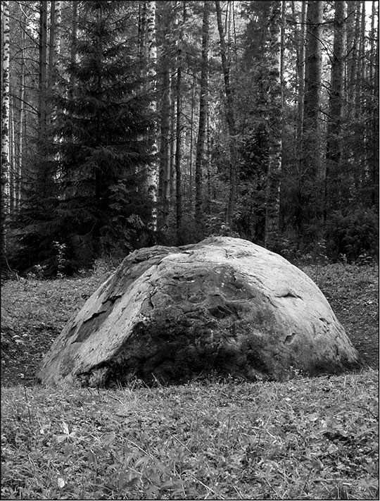 Иллюстрация к книге — Предания Синих камней [i_129.jpg]