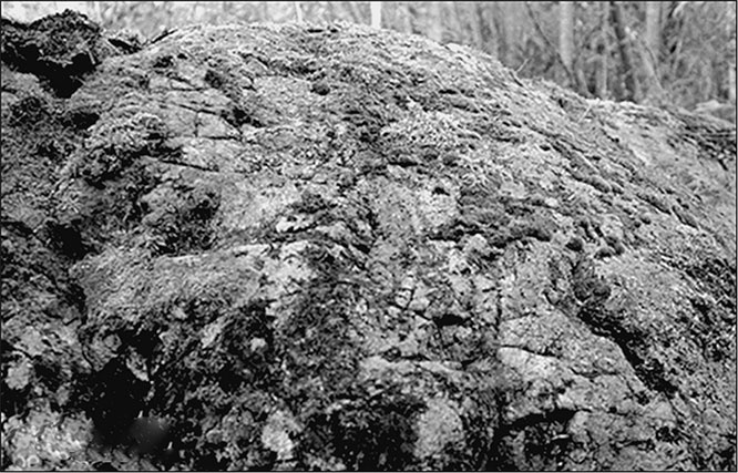 Иллюстрация к книге — Предания Синих камней [i_131.jpg]