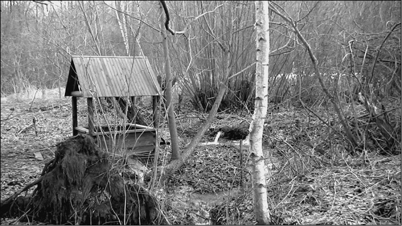 Иллюстрация к книге — Предания Синих камней [i_139.jpg]